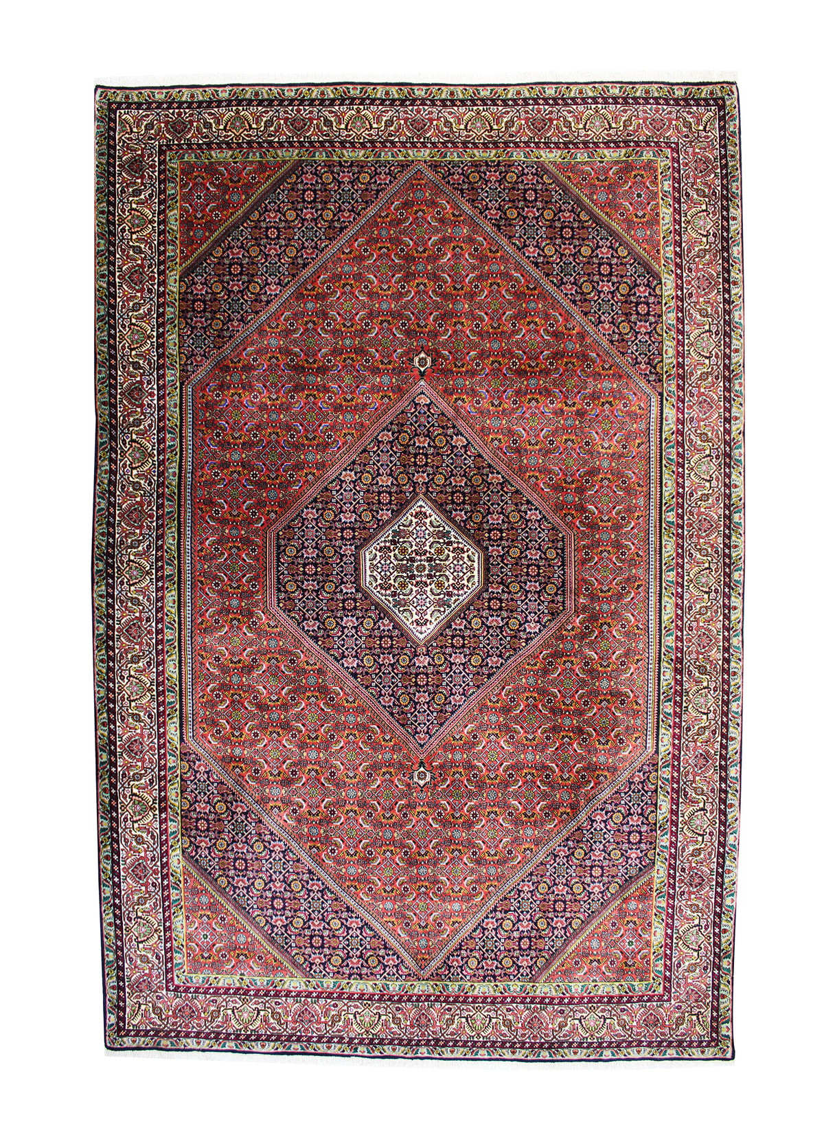 Bidjar 310 x 205 cm