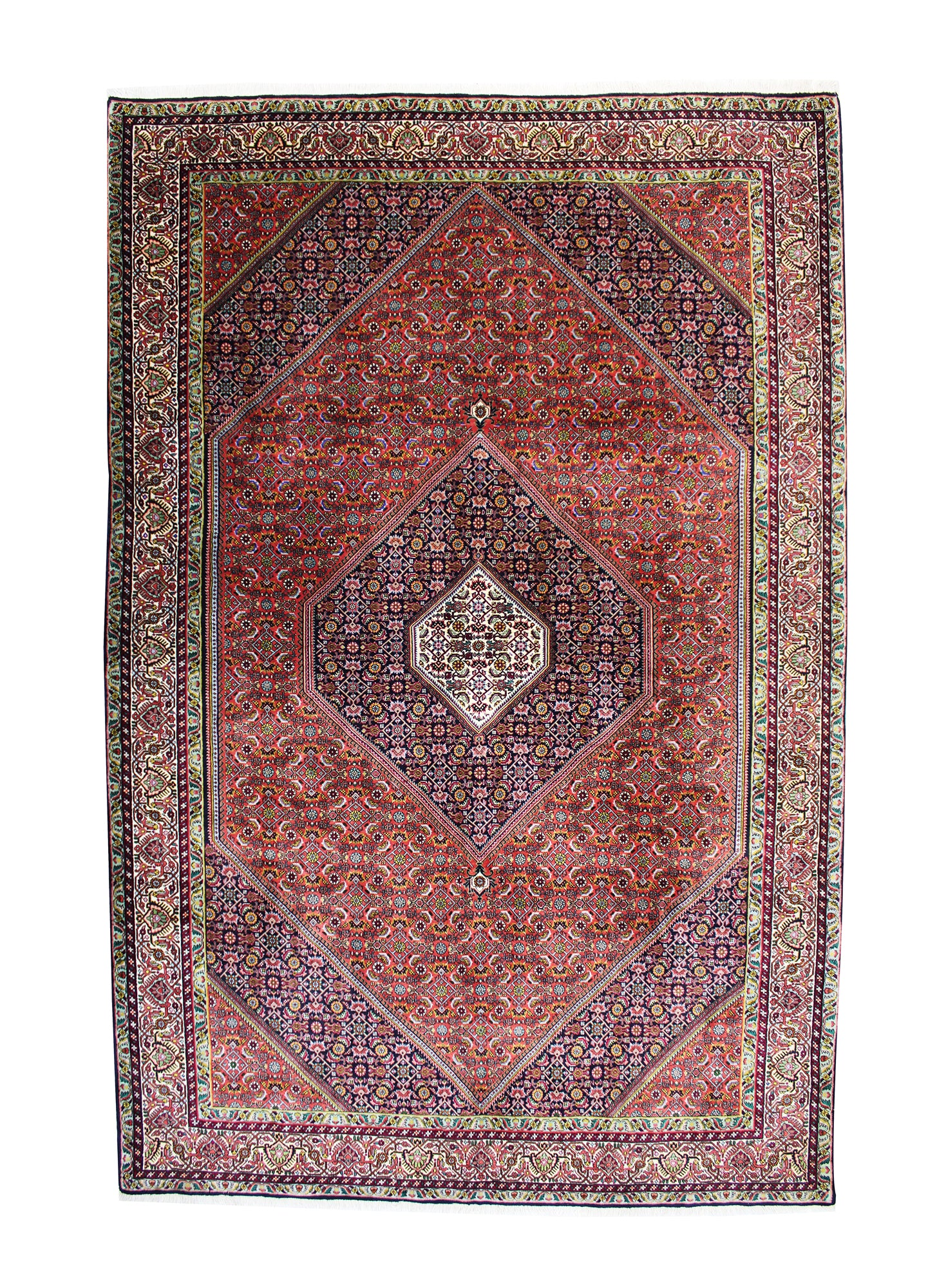 Bidjar 310 x 205 cm