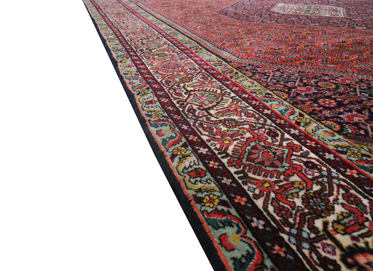 Bidjar 310 x 205 cm