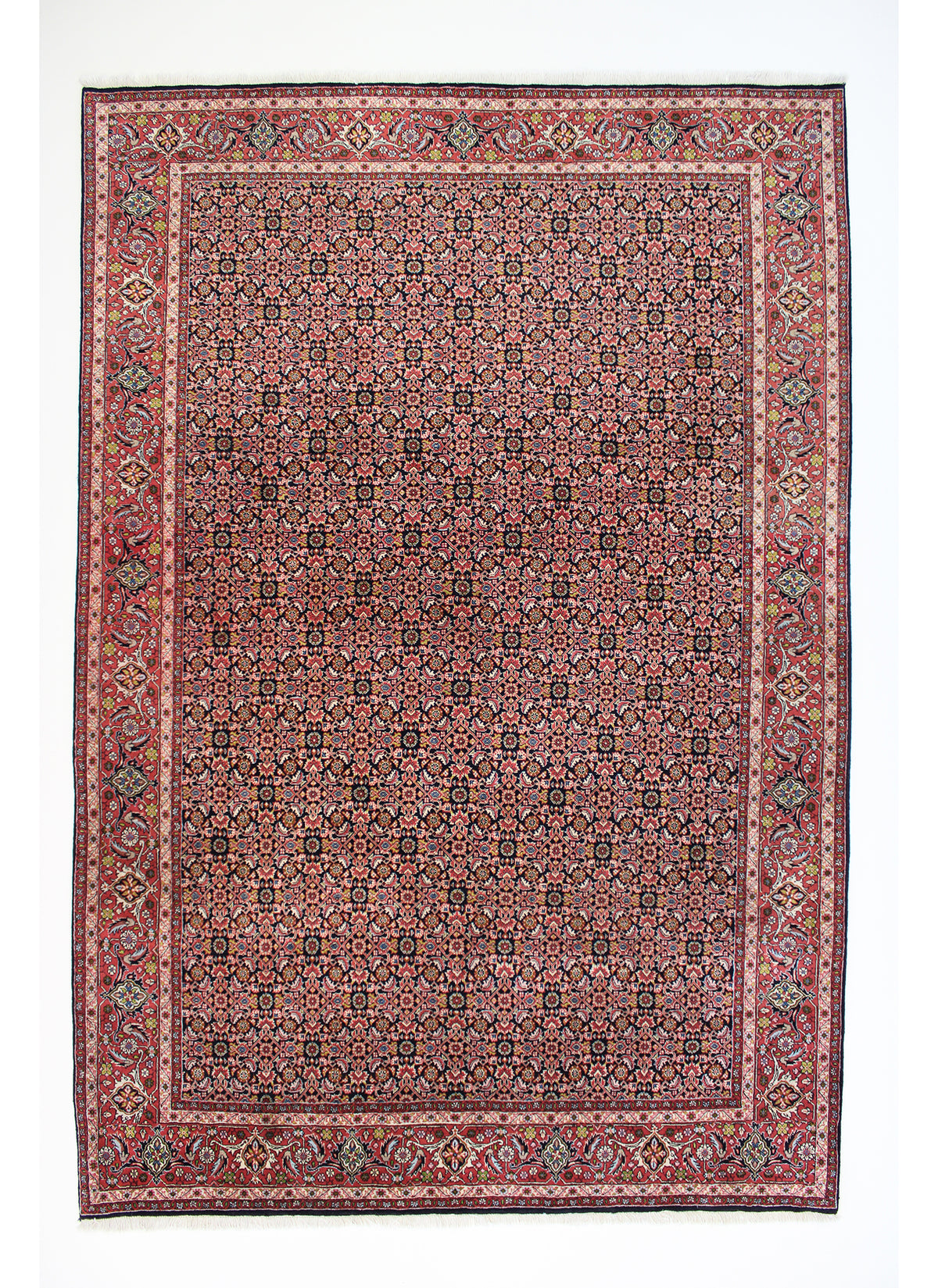 Bidjar 296 x 202 cm