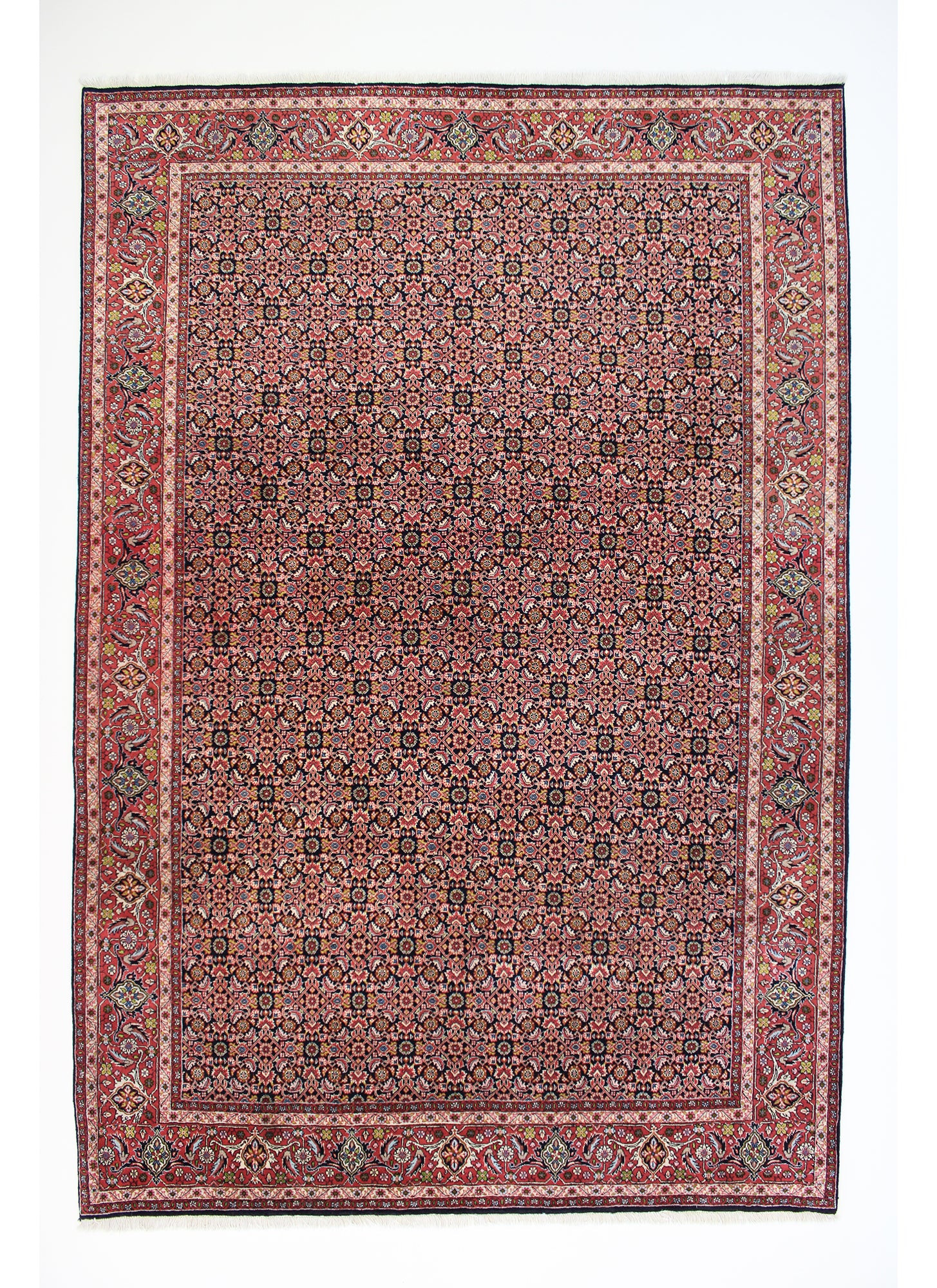 Bidjar 296 x 202 cm