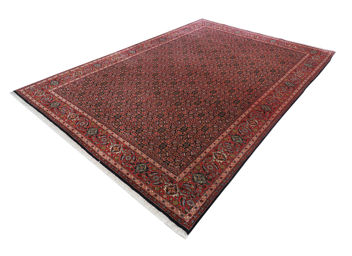 Bidjar 296 x 202 cm