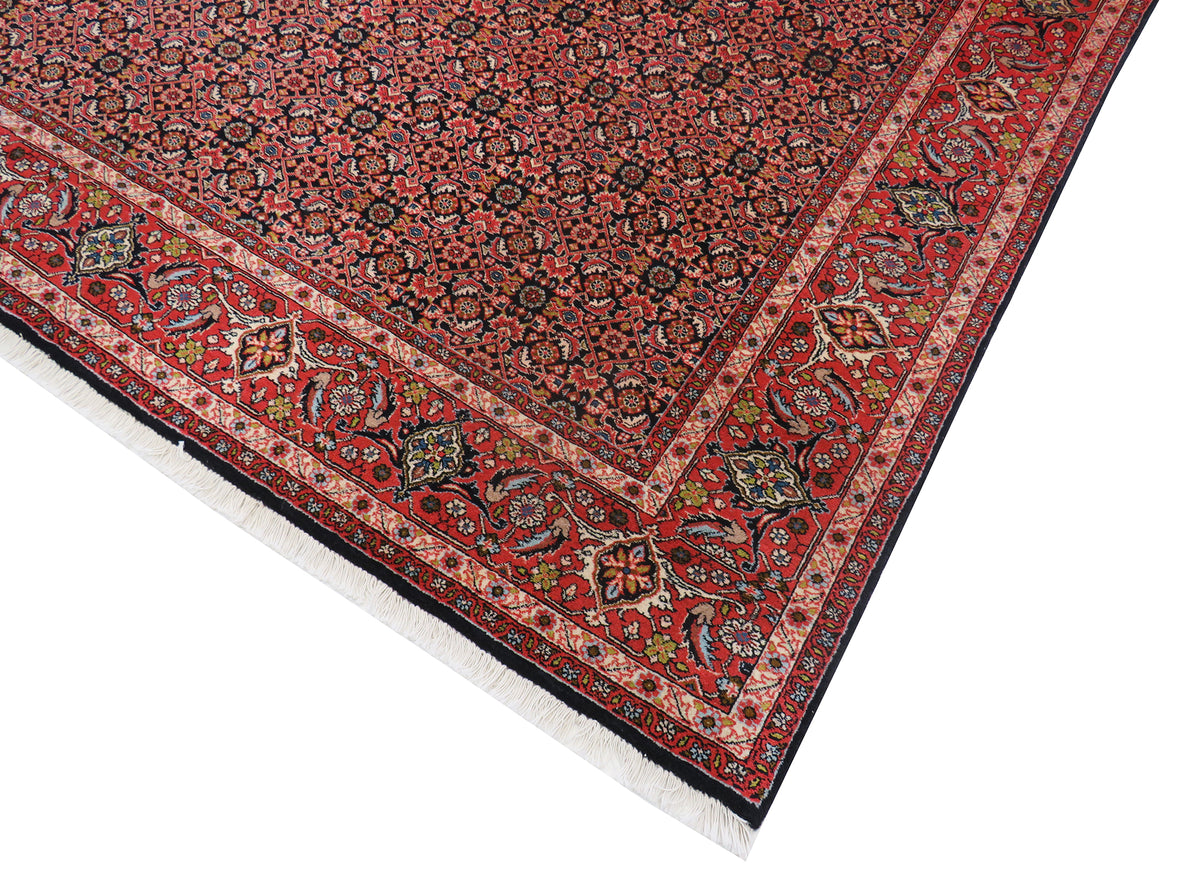 Bidjar 296 x 202 cm