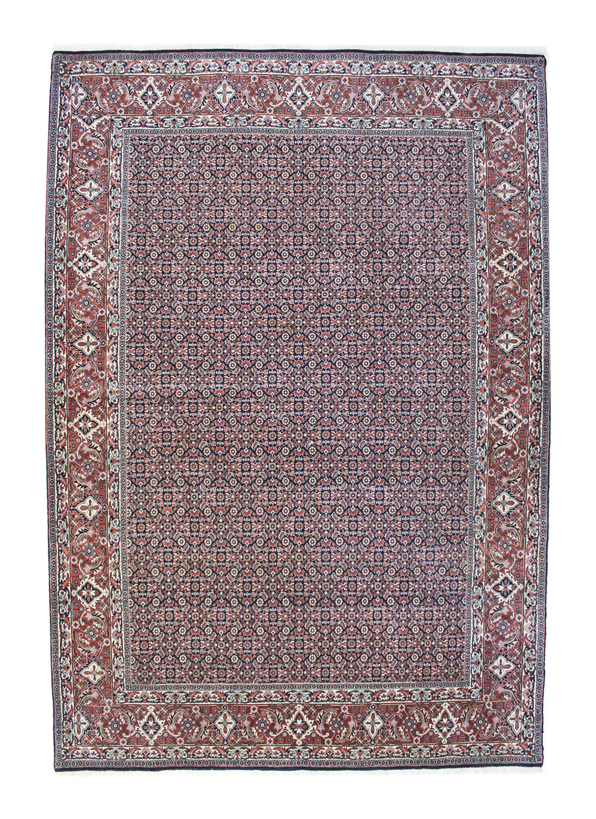 Bidjar 302 x 210 cm