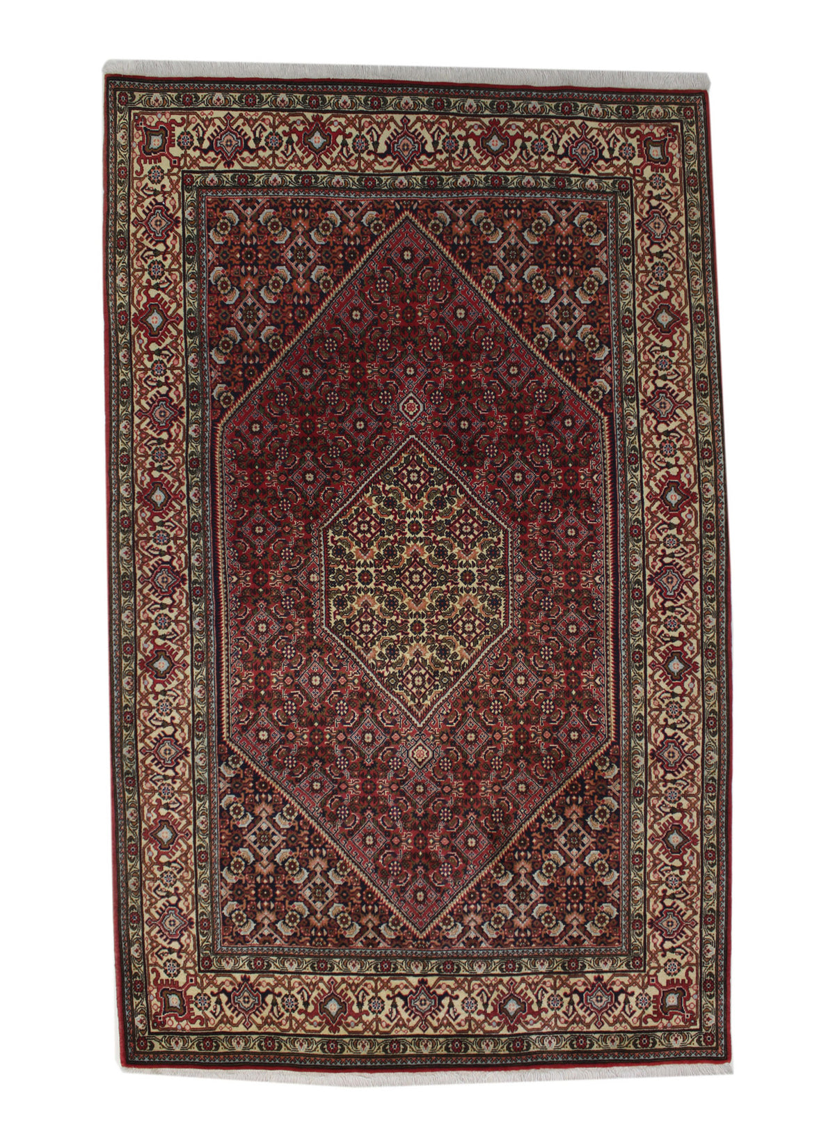 Bidjar 240 x 155 cm