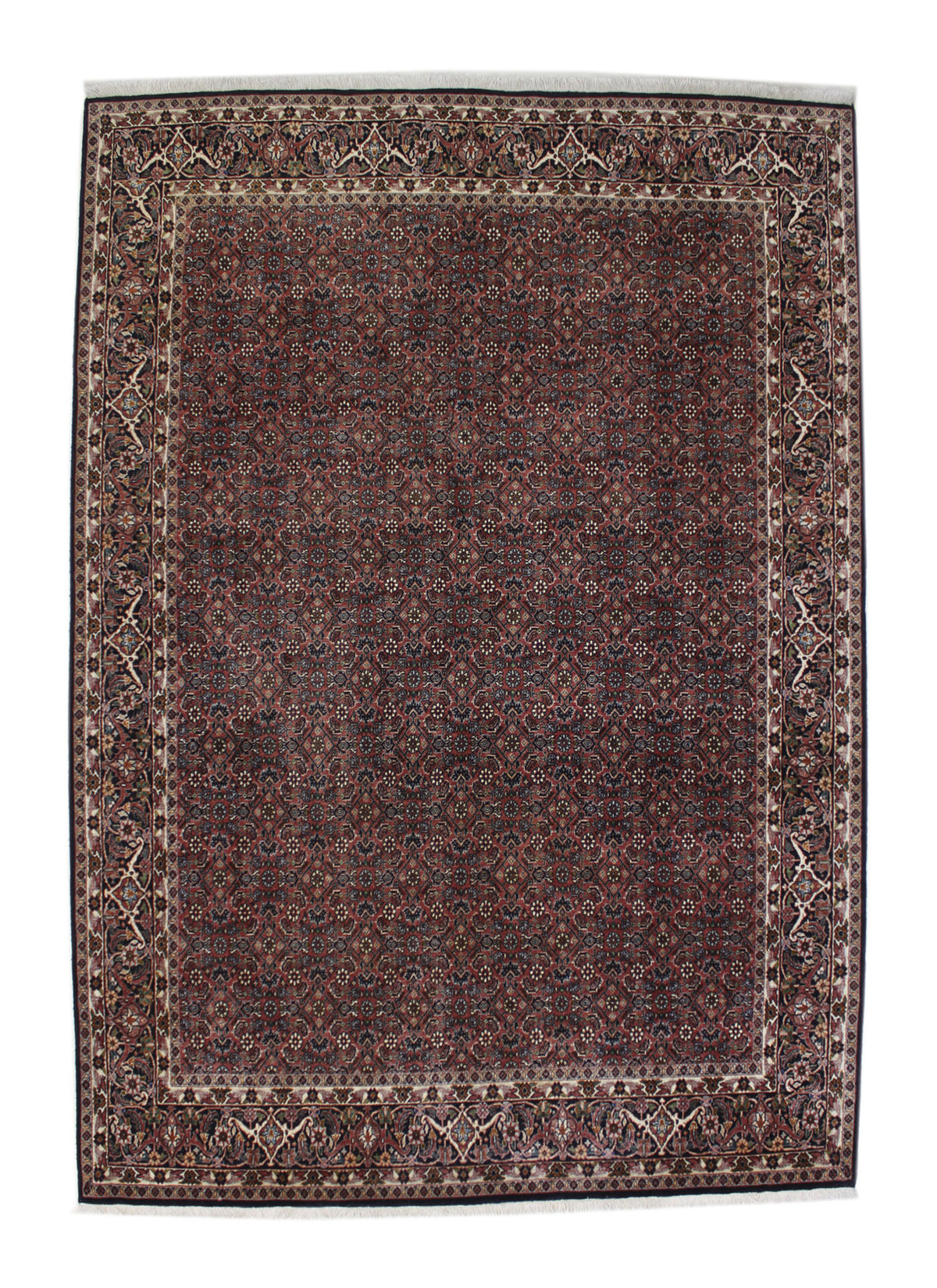 Bidjar 236 x 167 cm