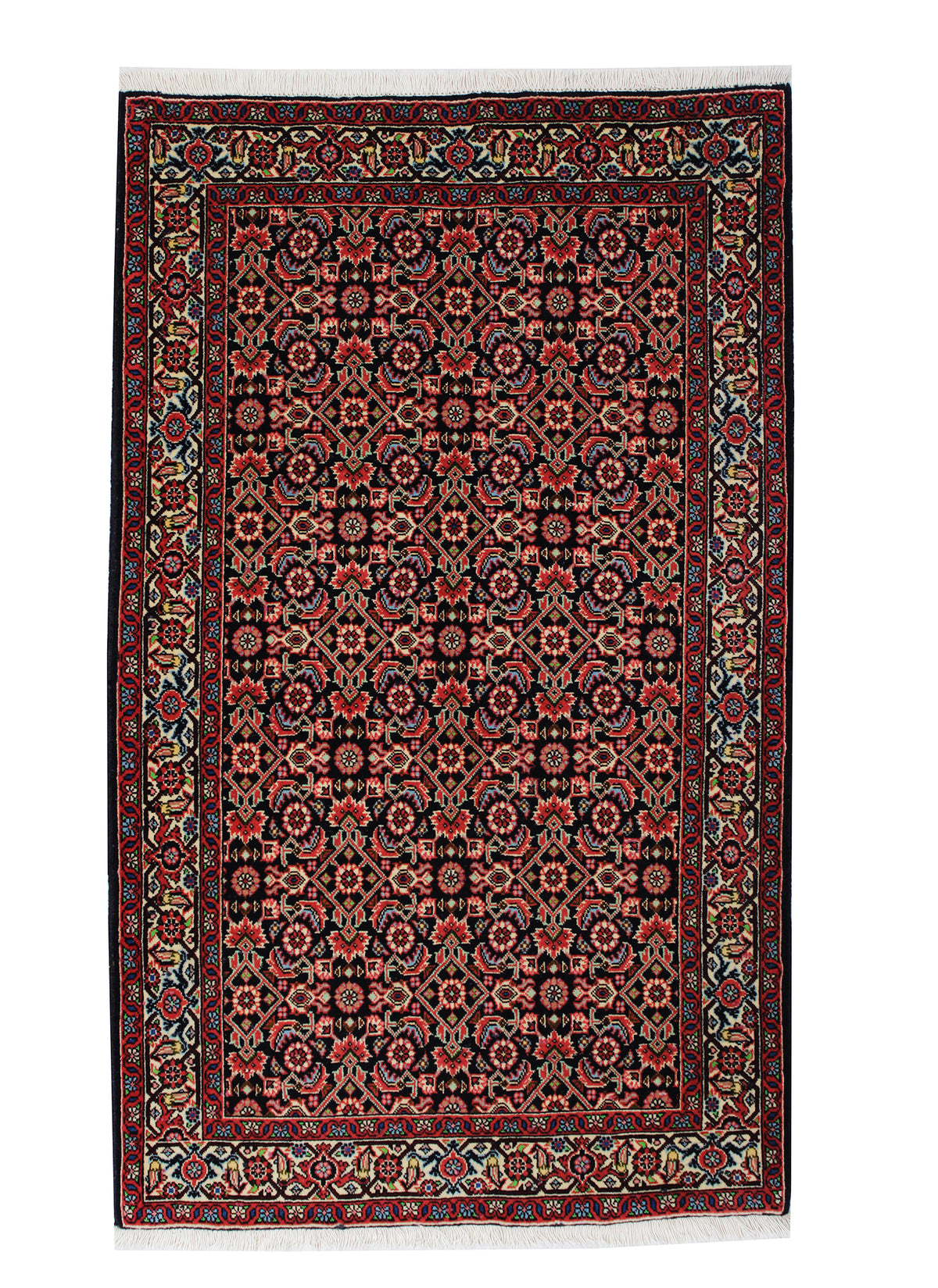 Bidjar 142 x 85 cm